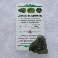 Moldavite Genuine Certified Czech Republic 9.9 grams-Moldavite Life