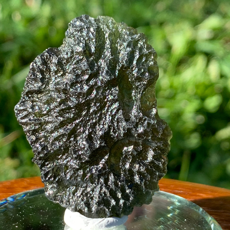 Moldavite Genuine Certified Czech Republic 15.2 grams-Moldavite Life