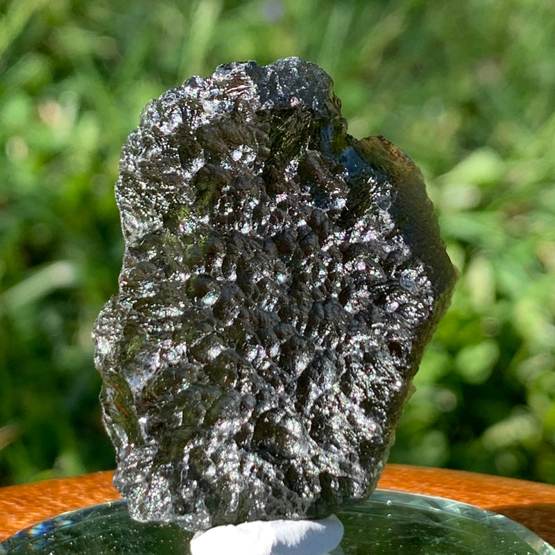 Moldavite Genuine Certified Czech Republic 15.2 grams-Moldavite Life