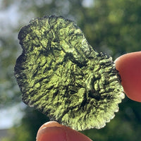 Moldavite Genuine Certified Czech Republic 15.2 grams-Moldavite Life