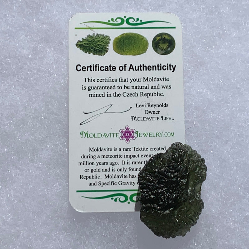 Moldavite Genuine Certified Czech Republic 15.2 grams-Moldavite Life