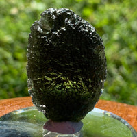 Moldavite Genuine Certified Czech Republic 19.7 grams-Moldavite Life