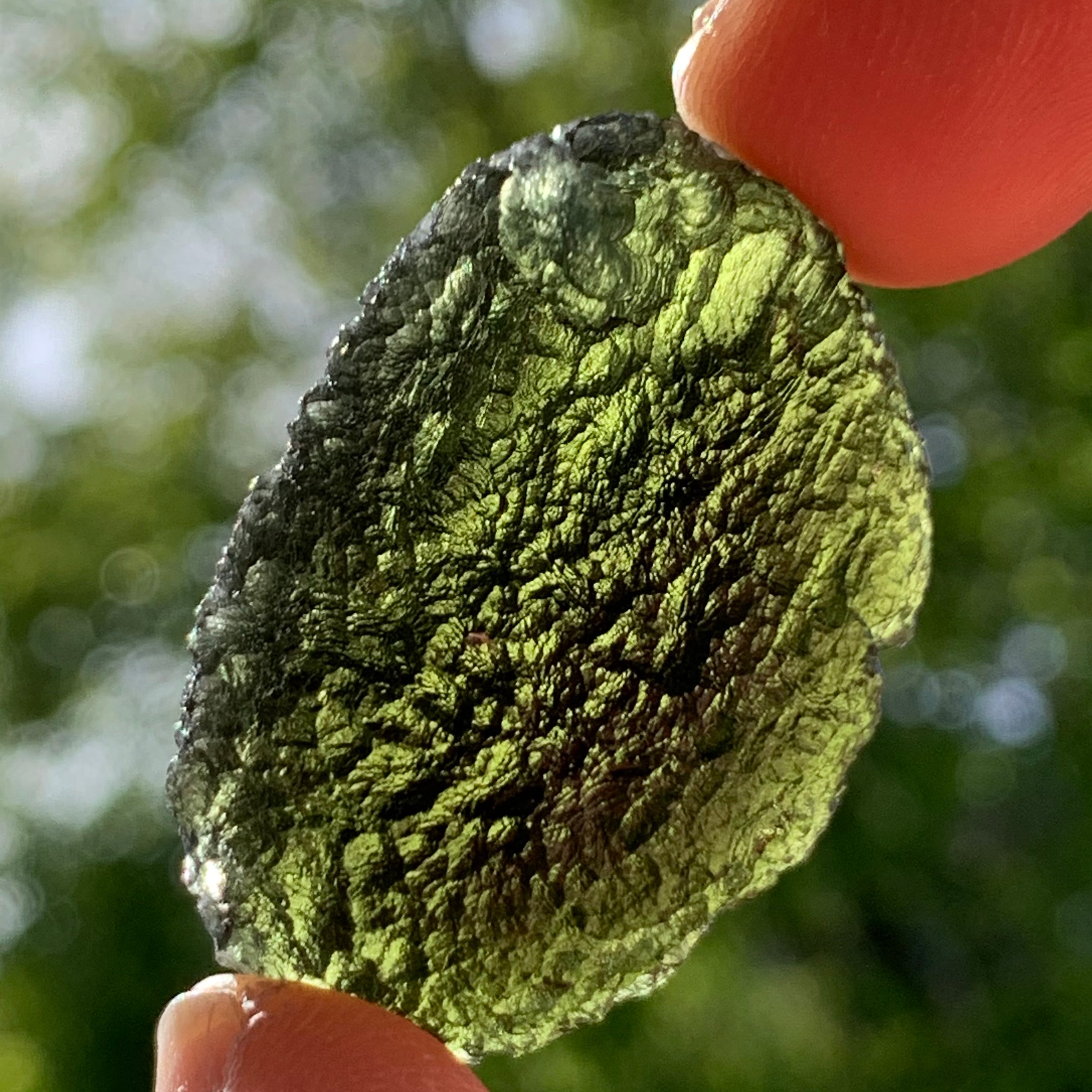 Moldavite Genuine Certified Czech Republic 19.7 grams-Moldavite Life