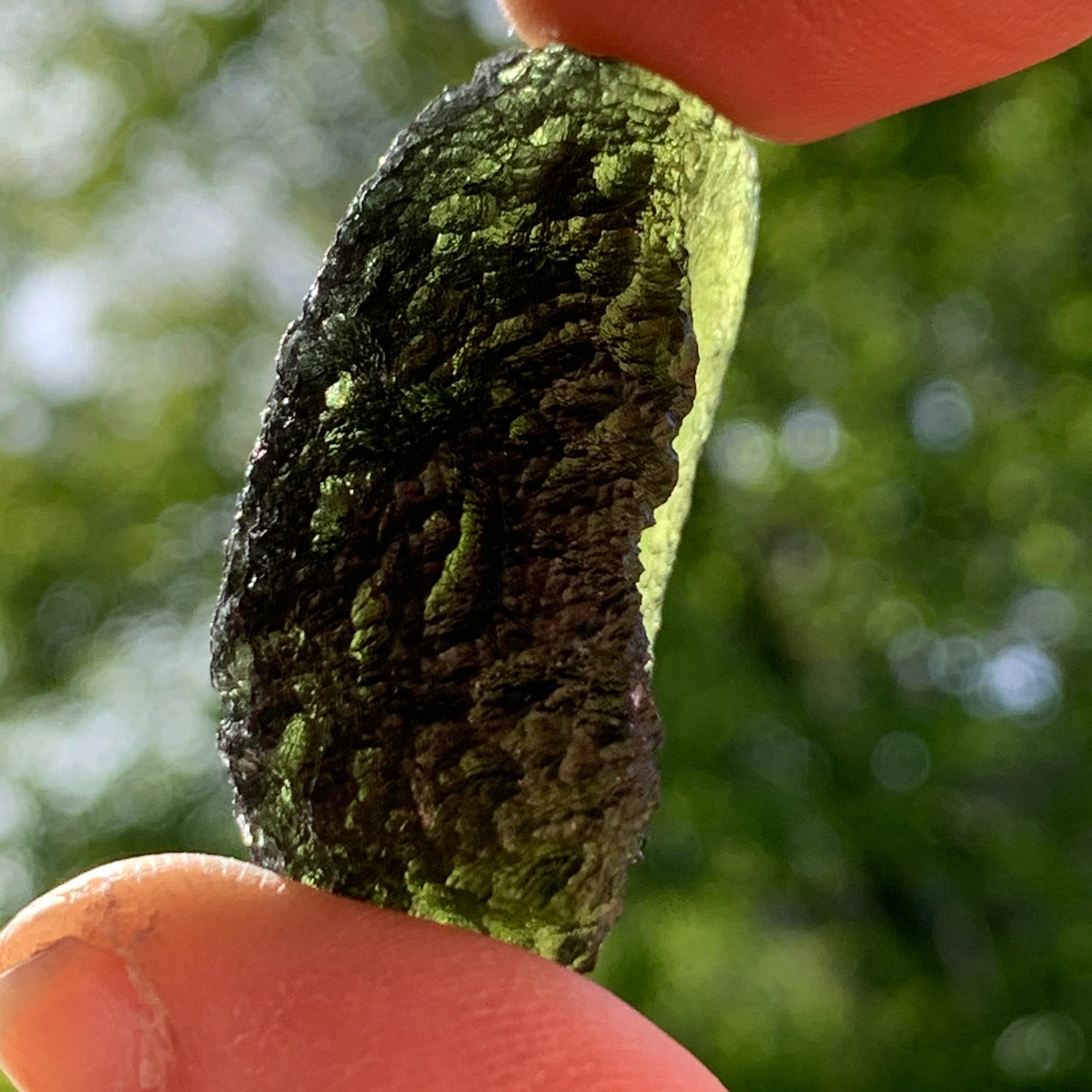 Moldavite Genuine Certified Czech Republic 19.7 grams-Moldavite Life