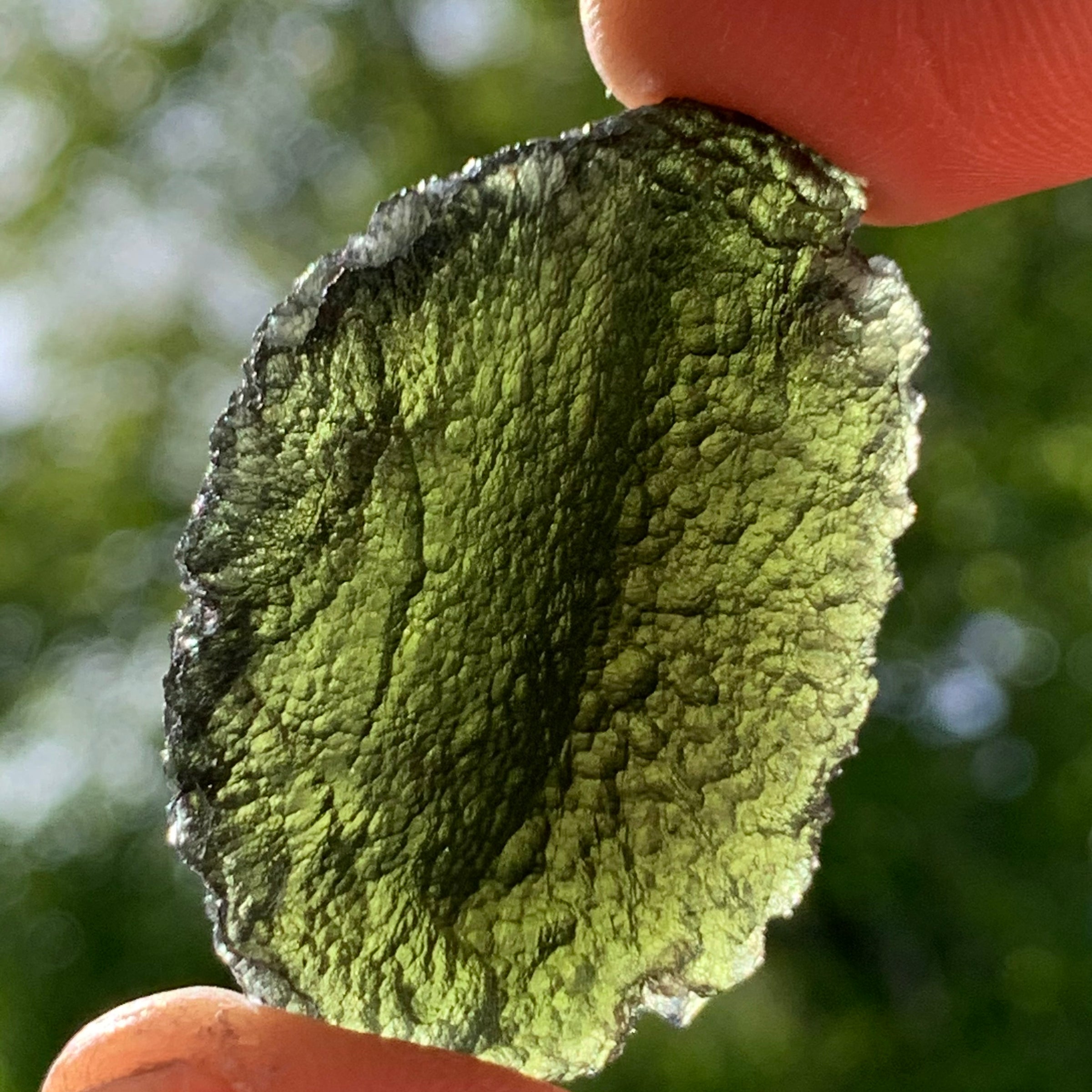 Moldavite Genuine Certified Czech Republic 19.7 grams-Moldavite Life