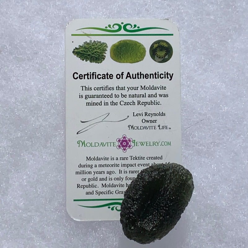 Moldavite Genuine Certified Czech Republic 19.7 grams-Moldavite Life