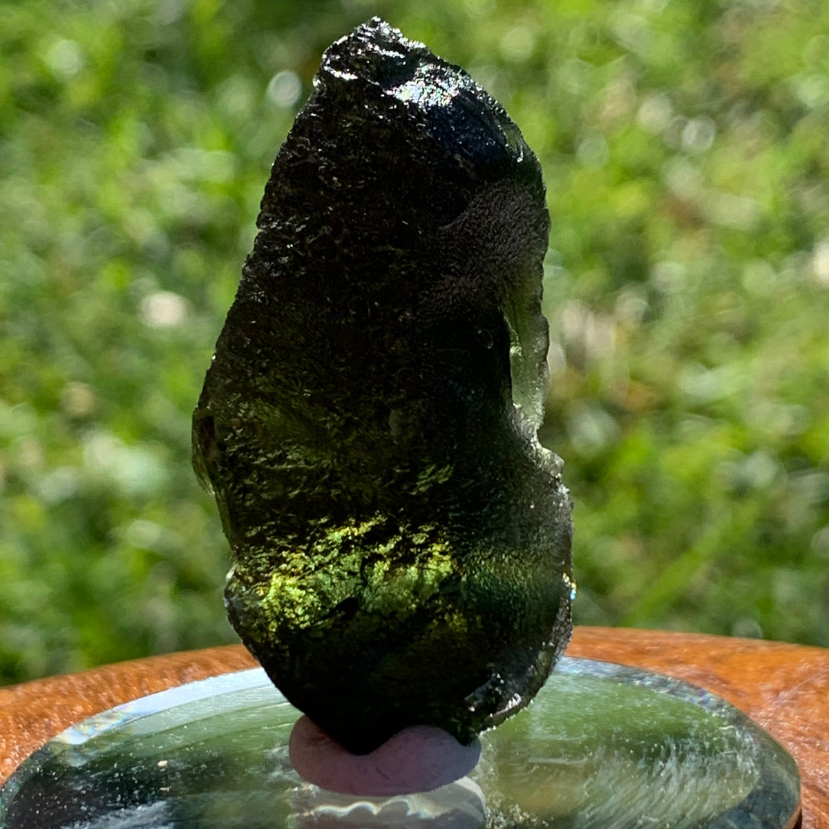 Moldavite Genuine Certified Czech Republic 17.8 grams-Moldavite Life