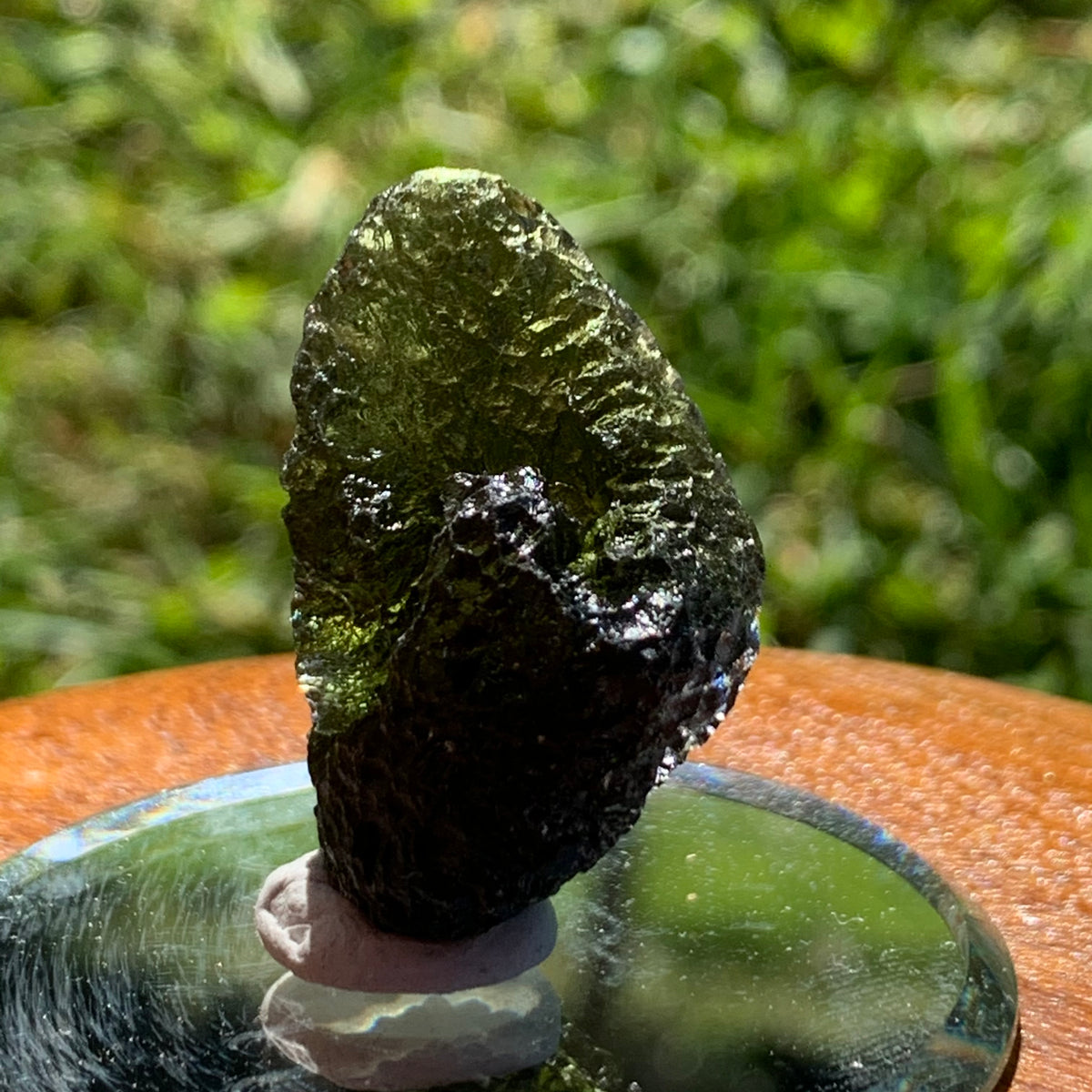 Moldavite Genuine Certified Czech Republic 11.9 grams-Moldavite Life