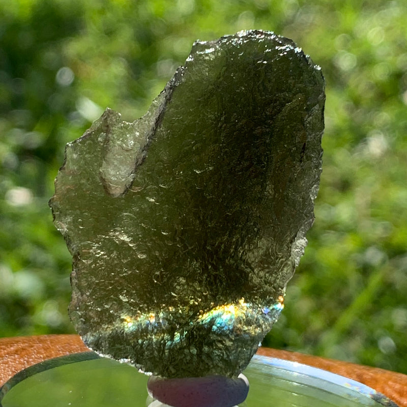 Moldavite Genuine Certified Czech Republic 10.4 grams-Moldavite Life