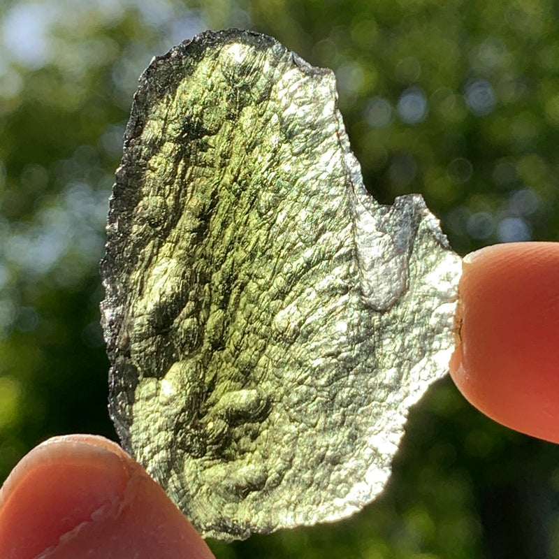 Moldavite Genuine Certified Czech Republic 10.4 grams-Moldavite Life