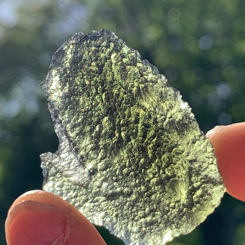 Moldavite Genuine Certified Czech Republic 10.4 grams-Moldavite Life