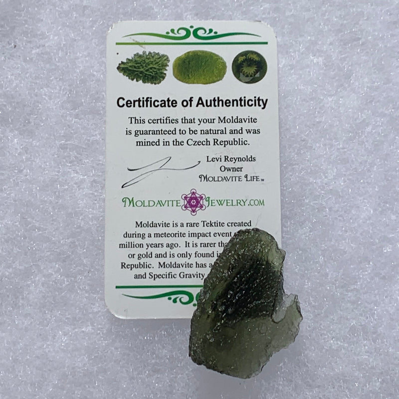 Moldavite Genuine Certified Czech Republic 10.4 grams-Moldavite Life