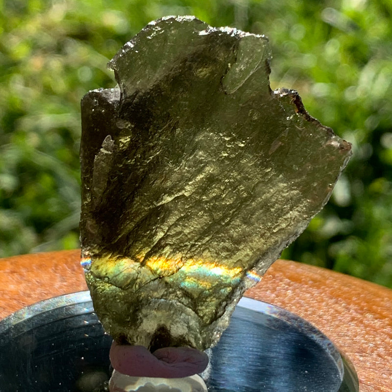 Moldavite Genuine Certified Czech Republic 8.7 grams-Moldavite Life