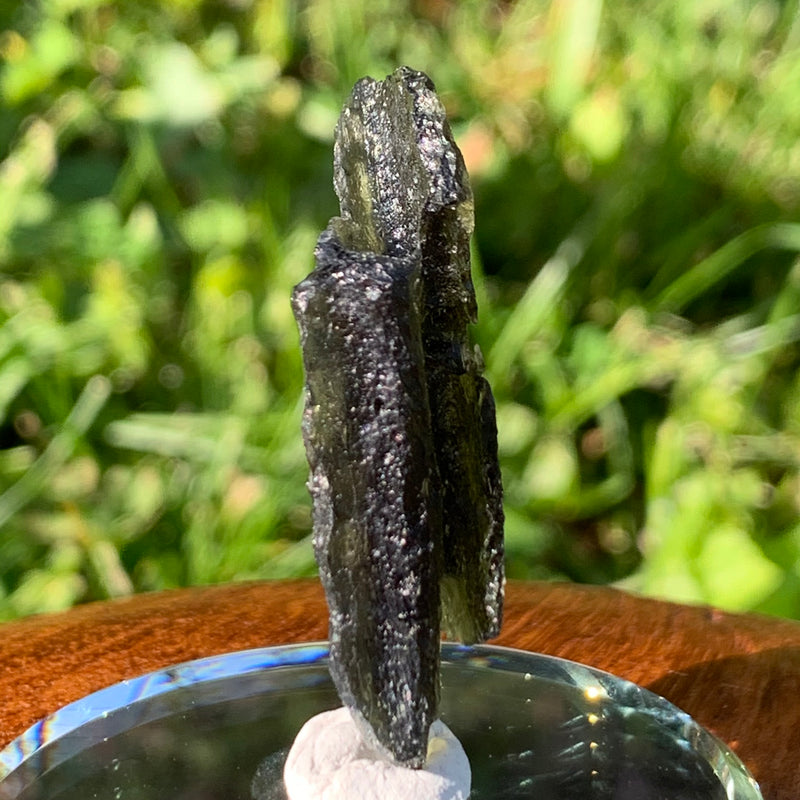 Moldavite Genuine Certified Czech Republic 8.7 grams-Moldavite Life