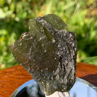 Moldavite Genuine Certified Czech Republic 8.7 grams-Moldavite Life