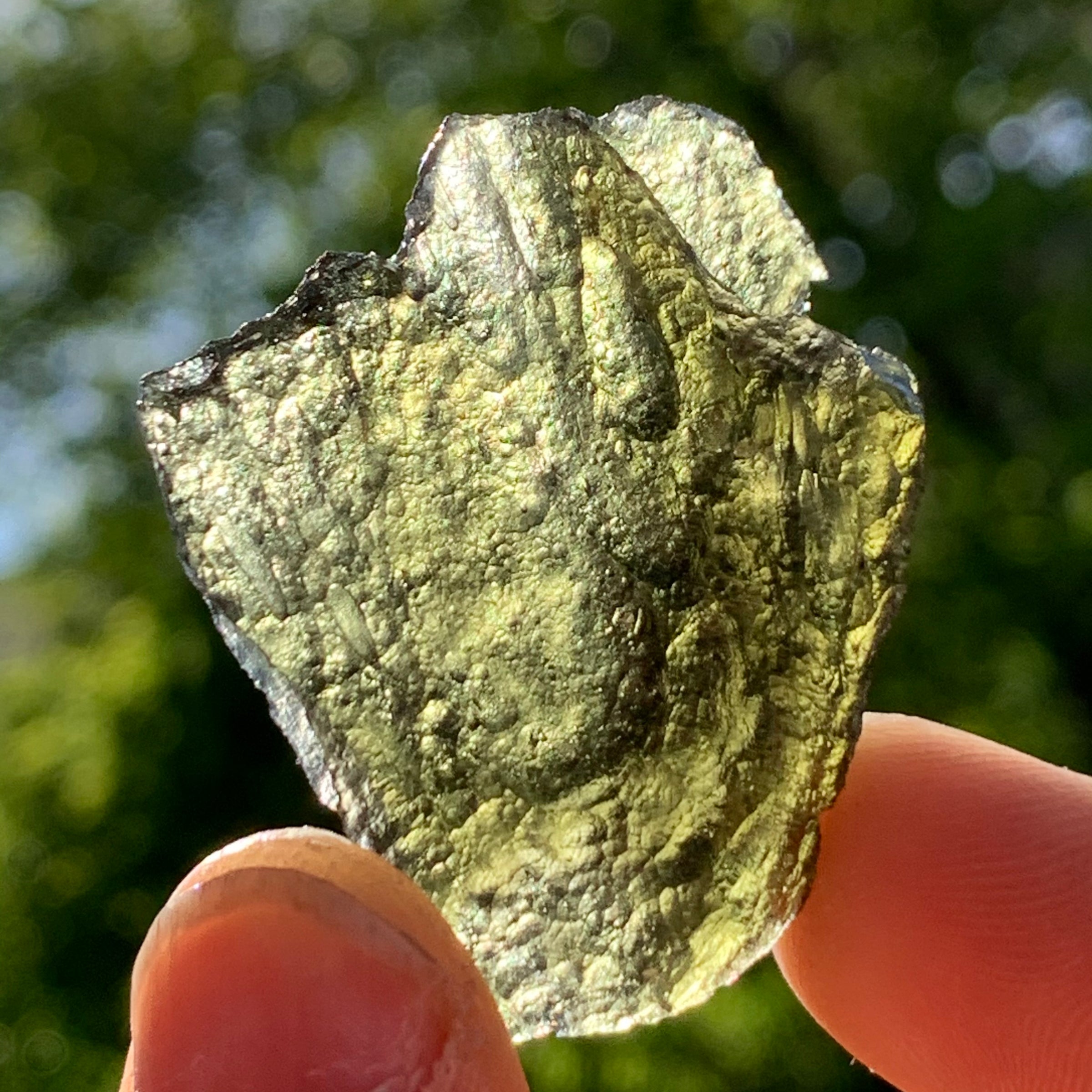 Moldavite Genuine Certified Czech Republic 8.7 grams-Moldavite Life