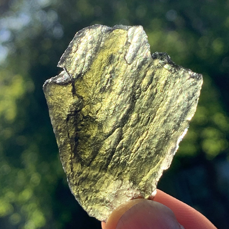 Moldavite Genuine Certified Czech Republic 8.7 grams-Moldavite Life