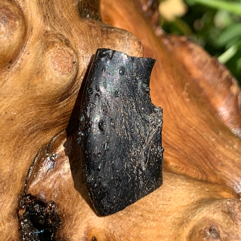 Irgizite Tektite-Moldavite Life