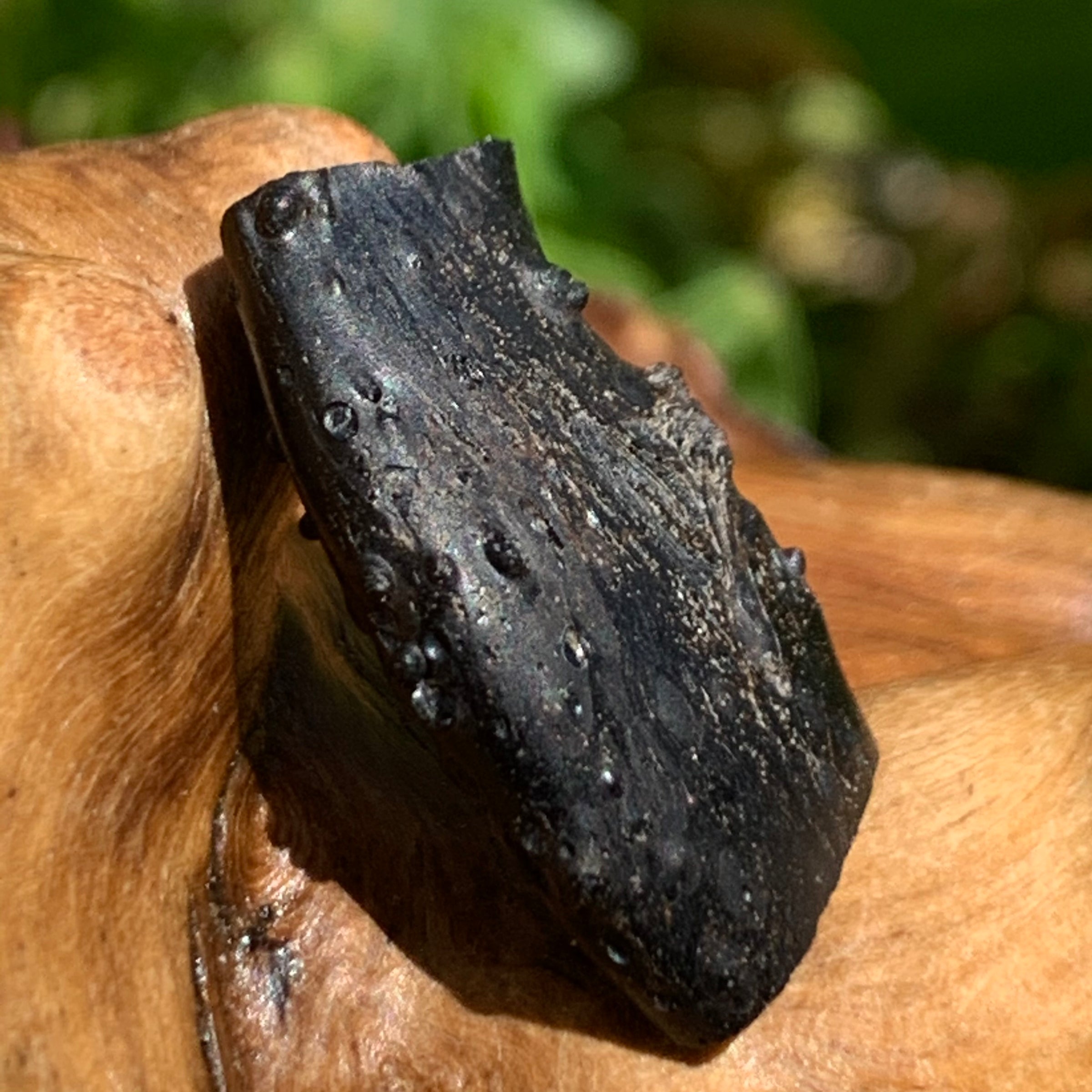 Irgizite Tektite-Moldavite Life