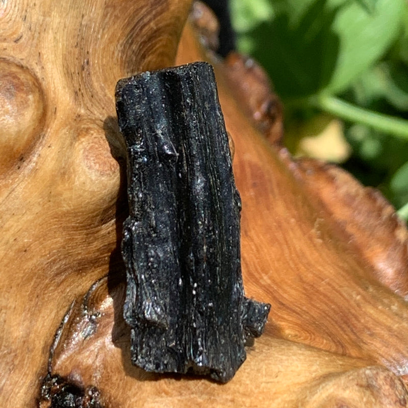 Irgizite Tektite-Moldavite Life