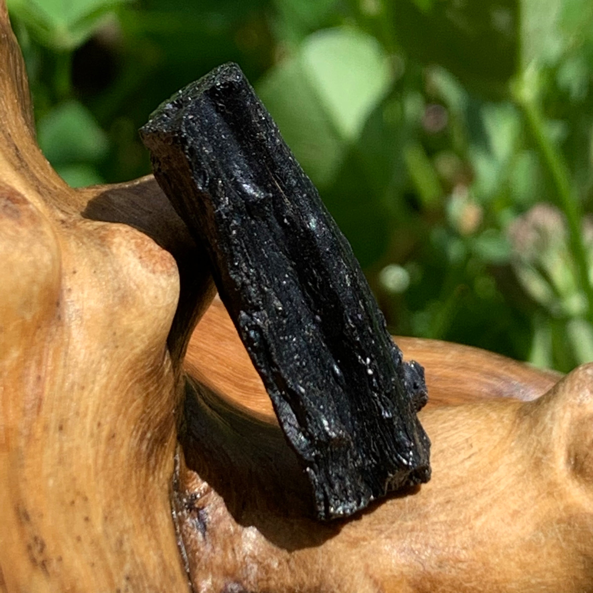 Irgizite Tektite-Moldavite Life