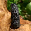 Irgizite Tektite-Moldavite Life