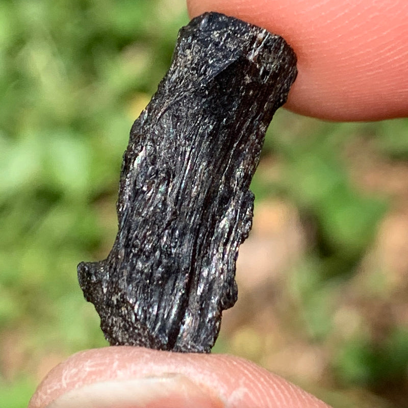 Irgizite Tektite-Moldavite Life