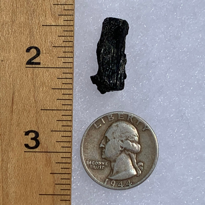 Irgizite Tektite-Moldavite Life