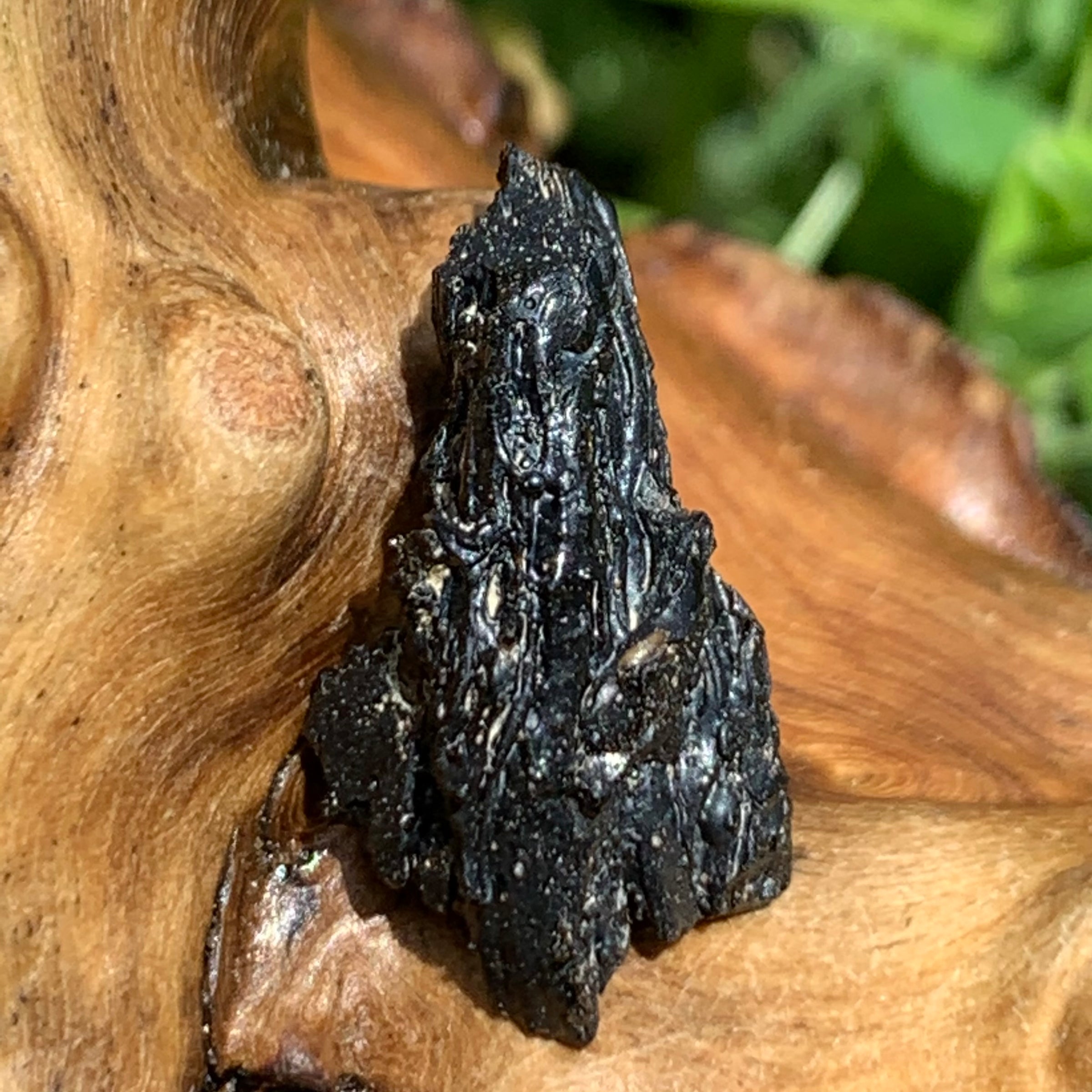 Irgizite Tektite-Moldavite Life