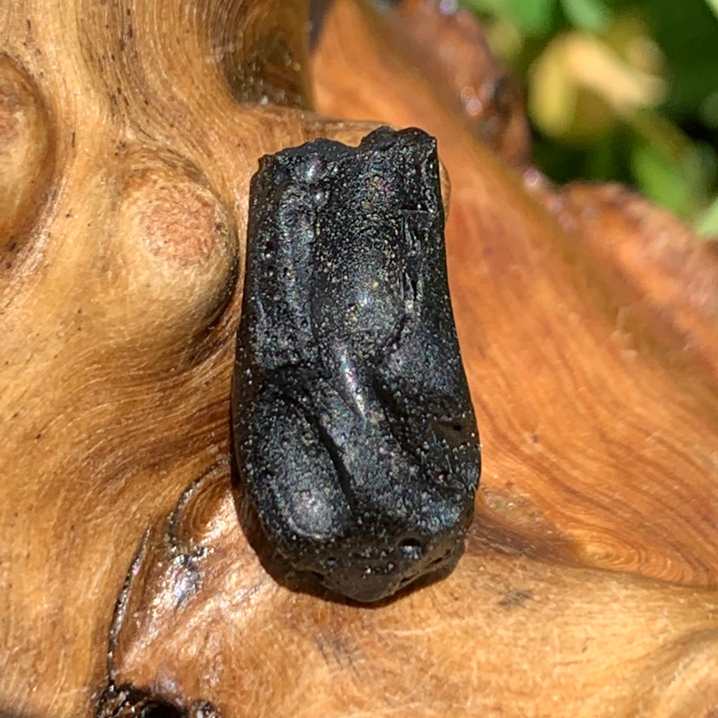 Irgizite Tektite-Moldavite Life