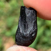 Irgizite Tektite-Moldavite Life