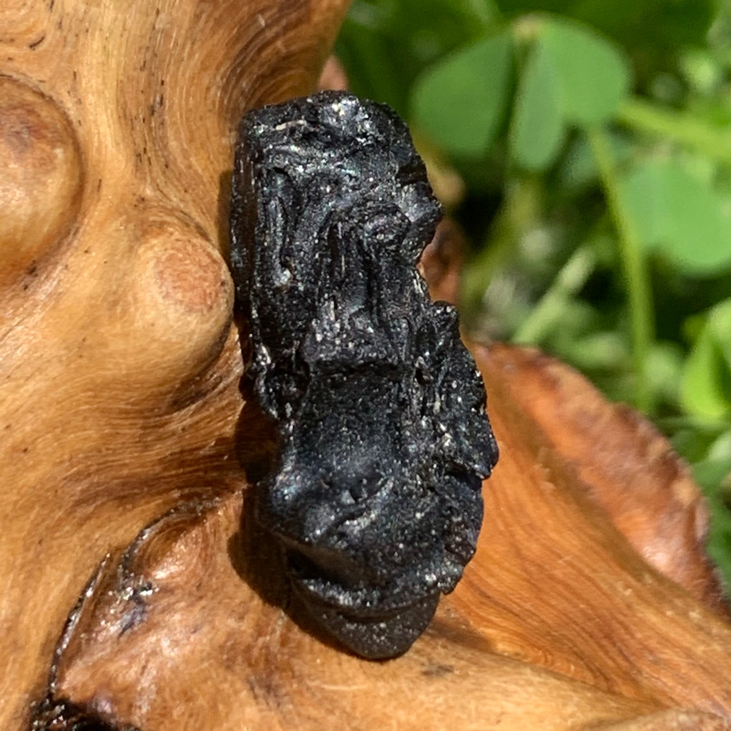 Irgizite Tektite-Moldavite Life