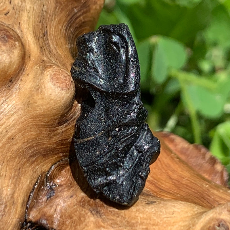 Irgizite Tektite-Moldavite Life