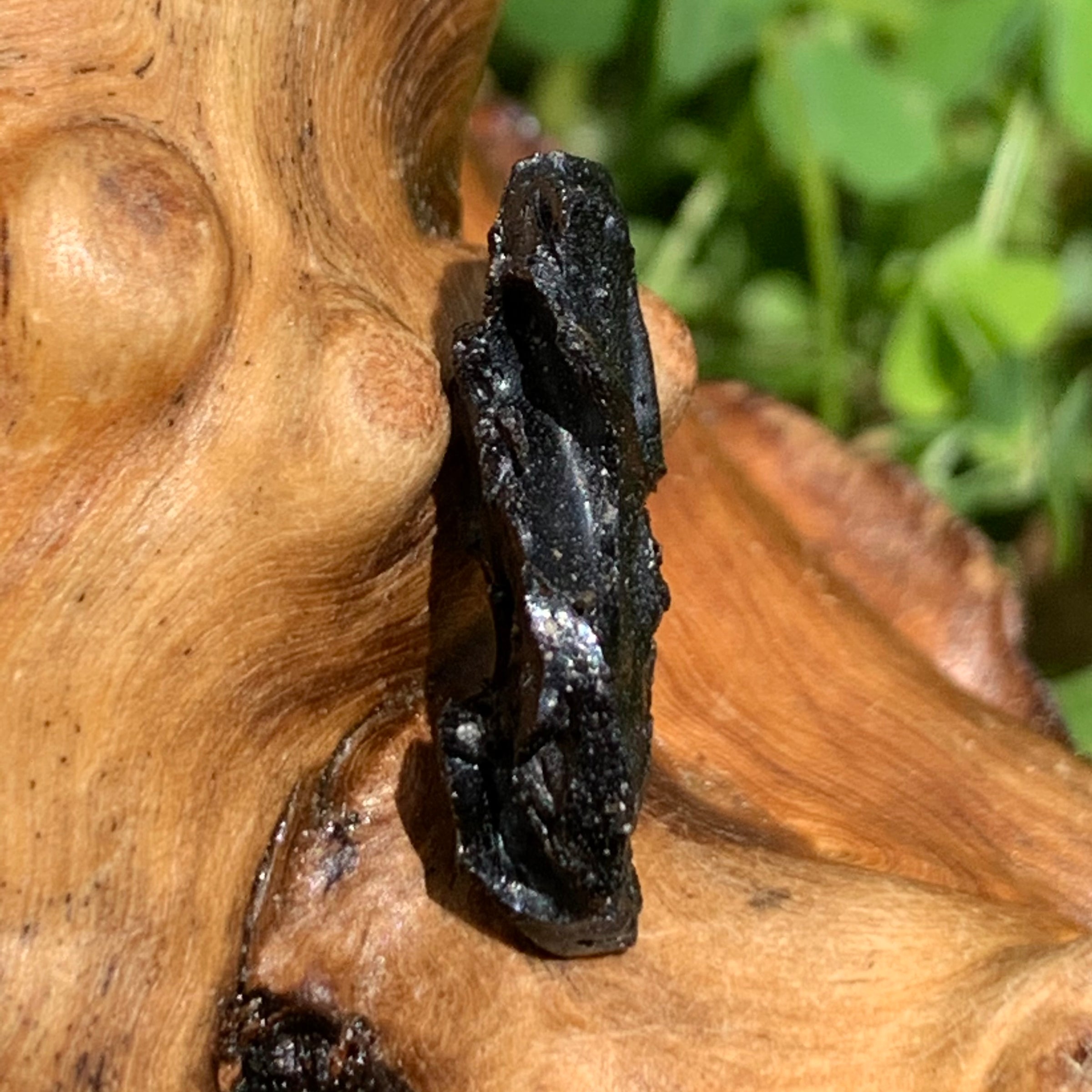 Irgizite Tektite-Moldavite Life