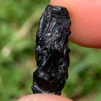 Irgizite Tektite-Moldavite Life