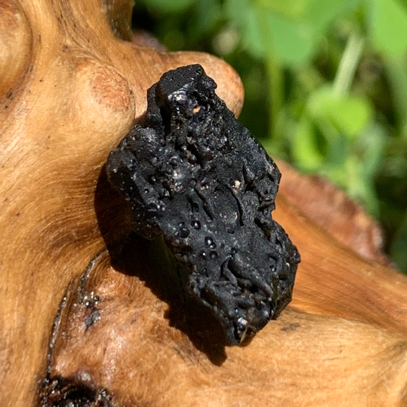 Irgizite Tektite-Moldavite Life