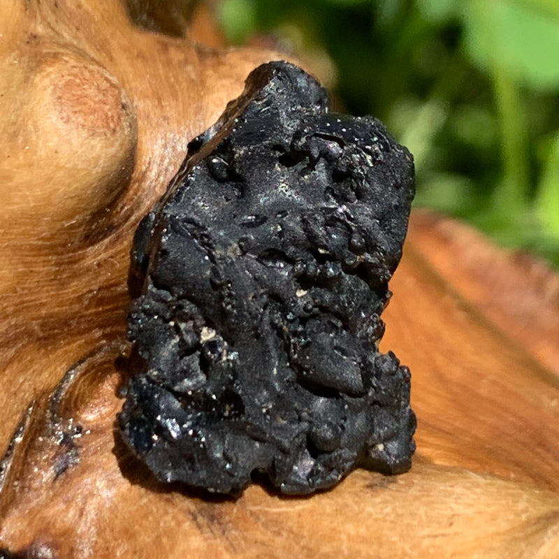 Irgizite Tektite-Moldavite Life