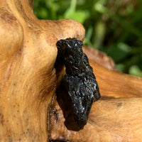 Irgizite Tektite-Moldavite Life