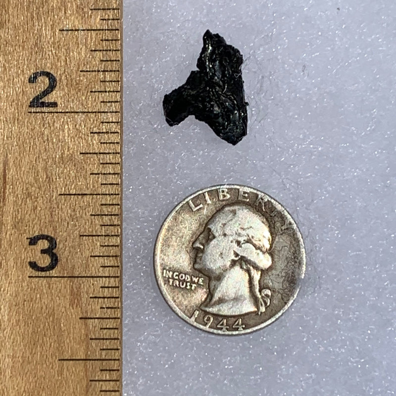 Irgizite Tektite-Moldavite Life