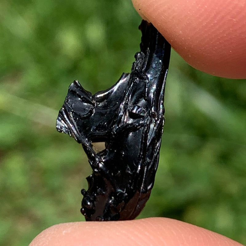 Irgizite Tektite-Moldavite Life