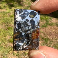 Sericho Pallasite Meteorite #4