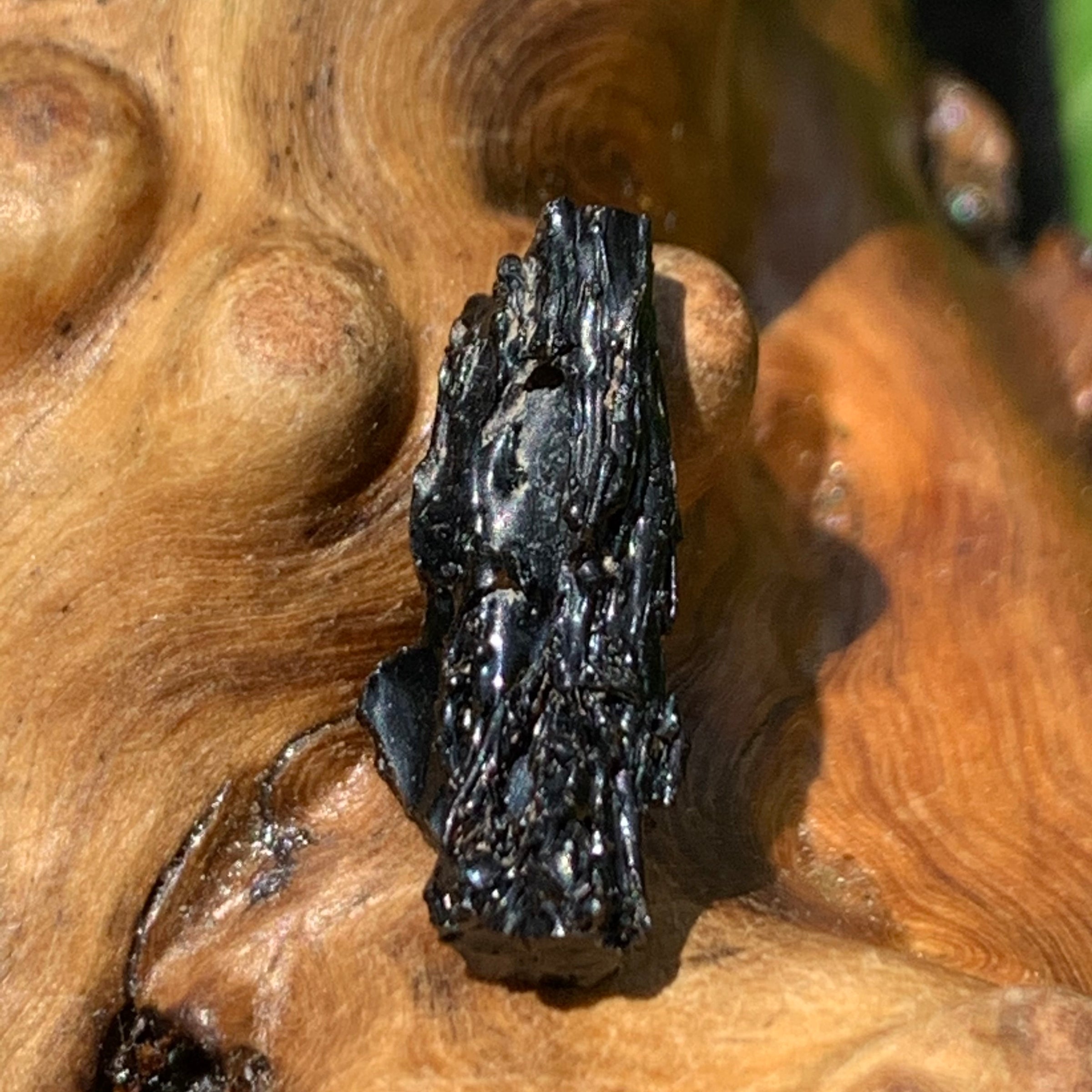 Irgizite Tektite-Moldavite Life