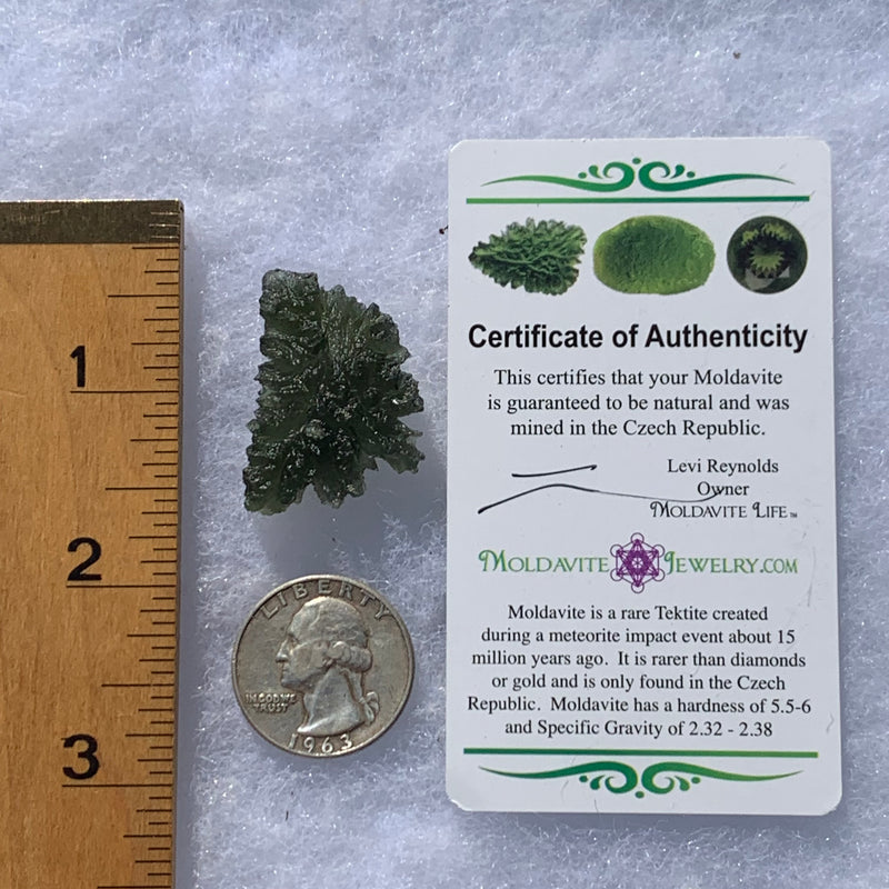 Besednice Moldavite Genuine Certified 6.25 grams