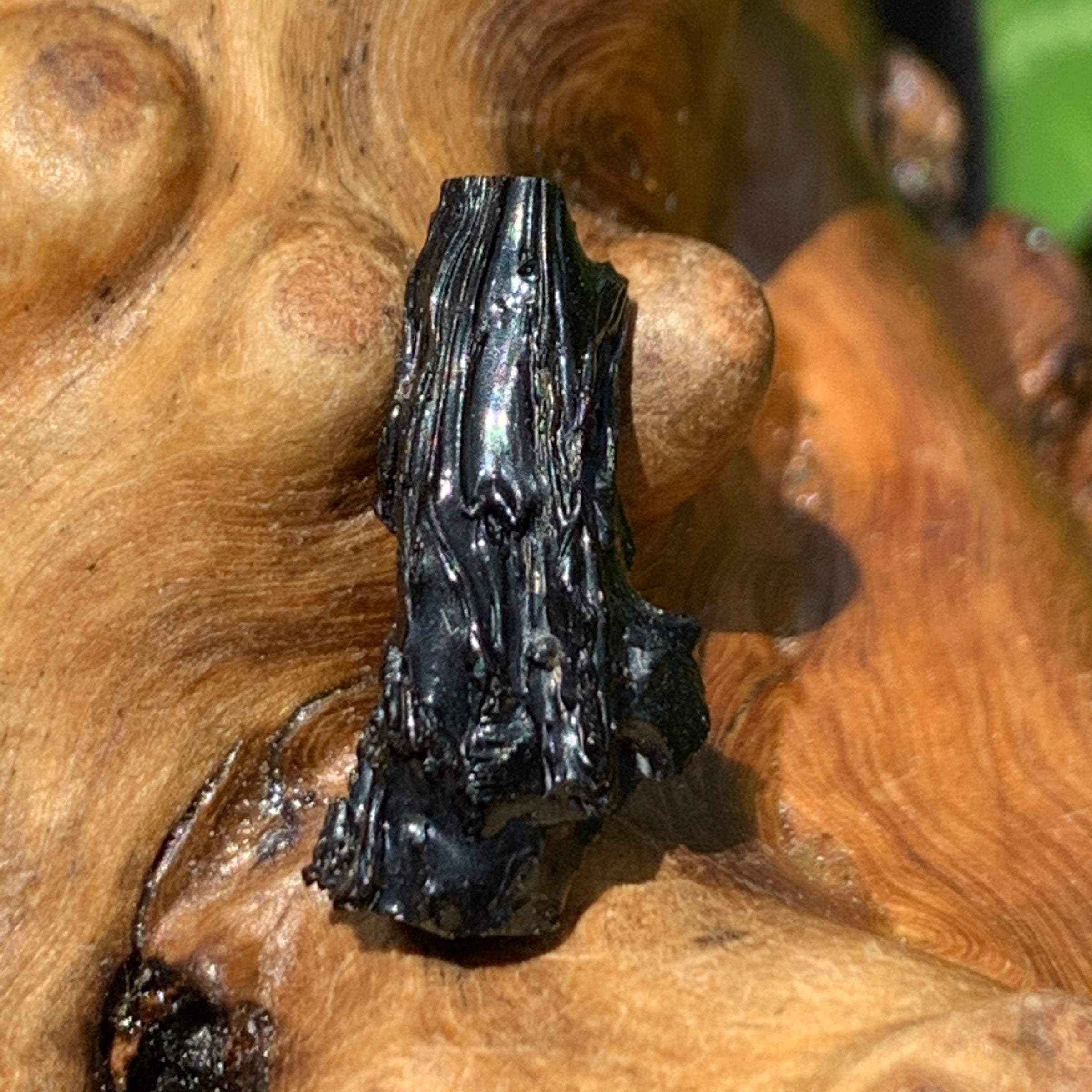 Irgizite Tektite-Moldavite Life