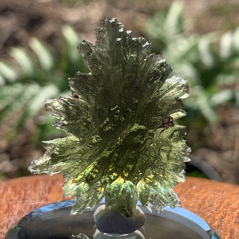 Besednice Moldavite Genuine Certified 6.27 grams