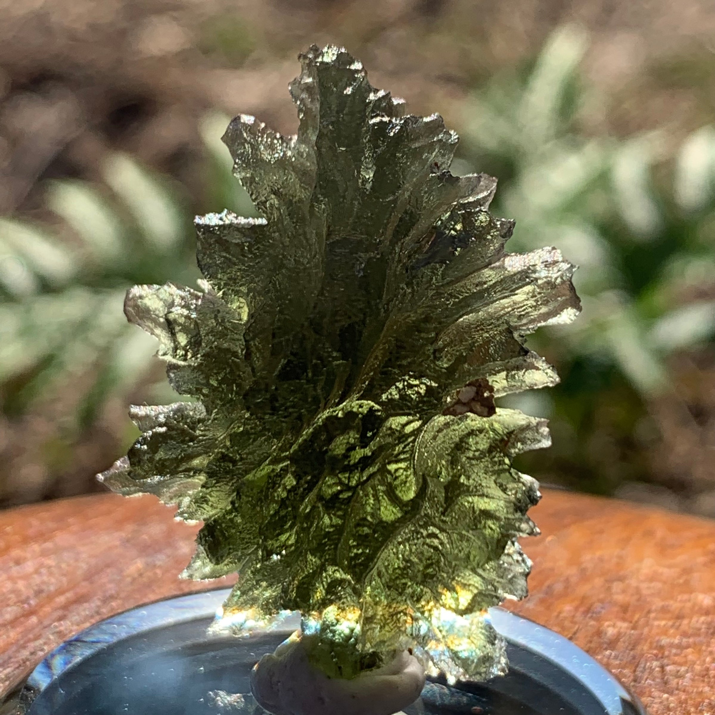 Besednice Moldavite Genuine Certified 6.27 grams