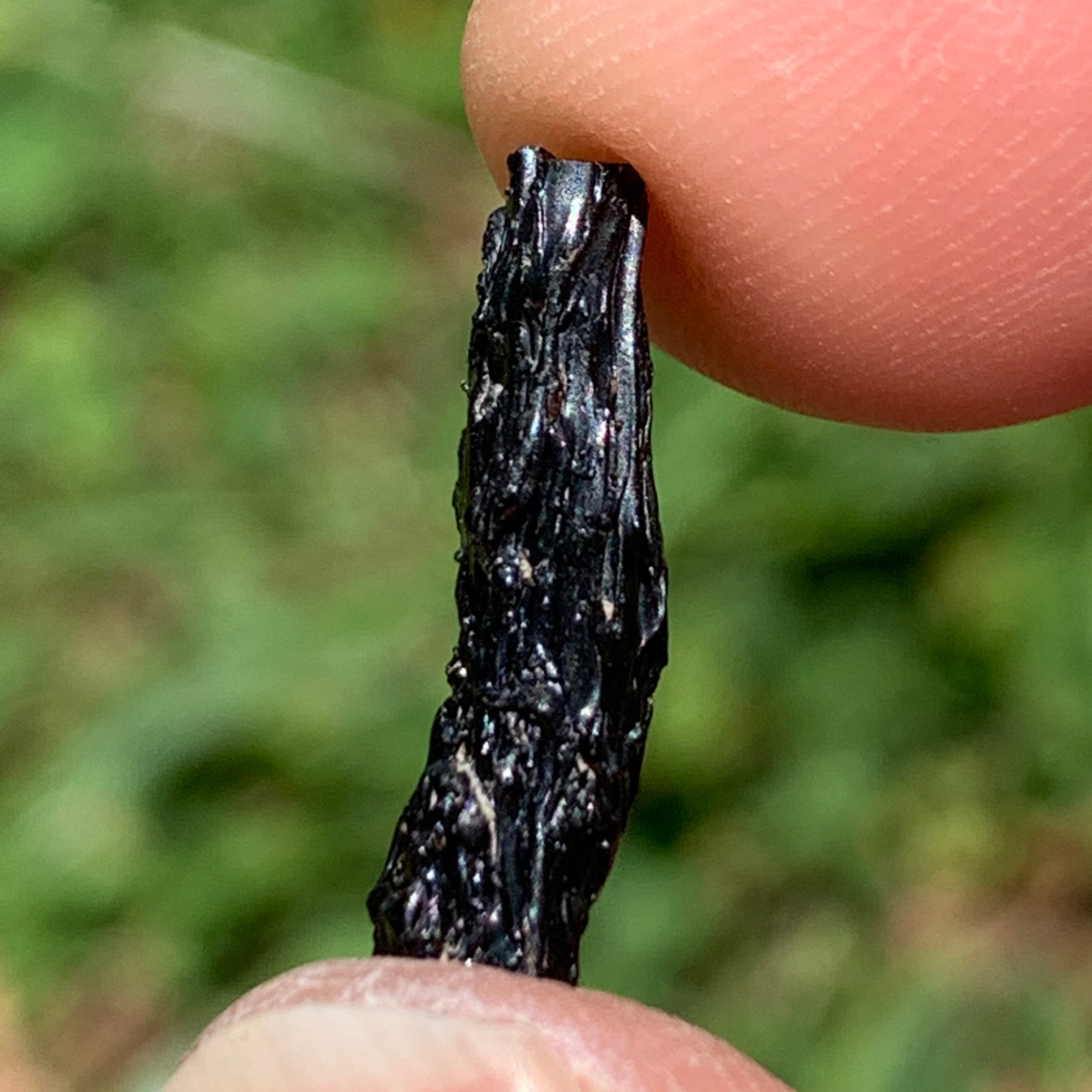 Irgizite Tektite-Moldavite Life