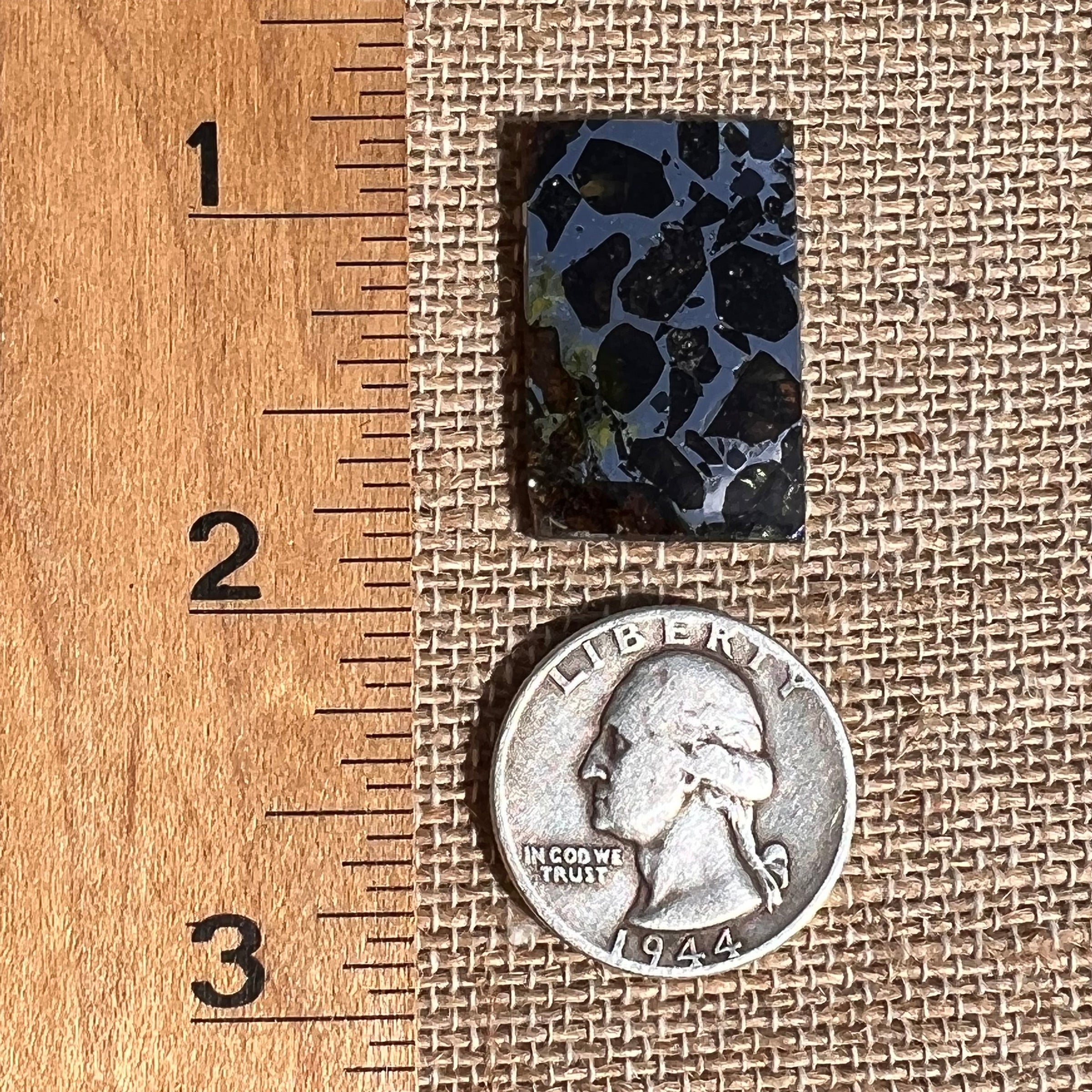 Sericho Pallasite Meteorite #4