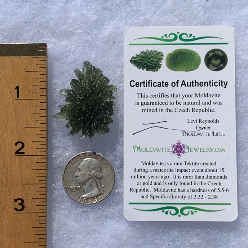 Besednice Moldavite Genuine Certified 6.27 grams