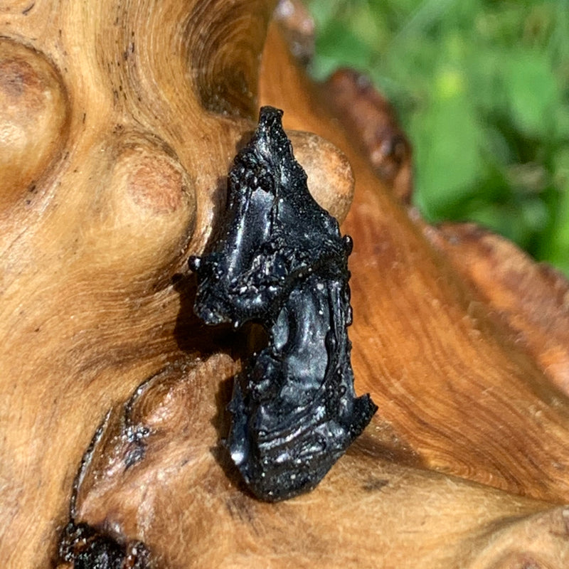 Irgizite Tektite-Moldavite Life